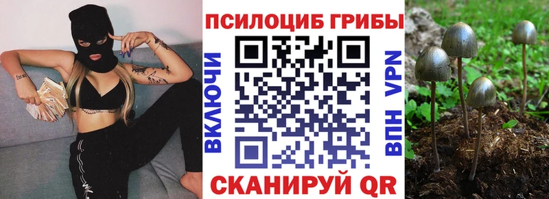 Галлюциногенные грибы мицелий  купить  цена  Покровск 